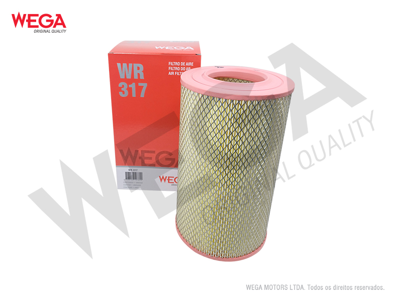 Filtro de Ar Wega WR-317