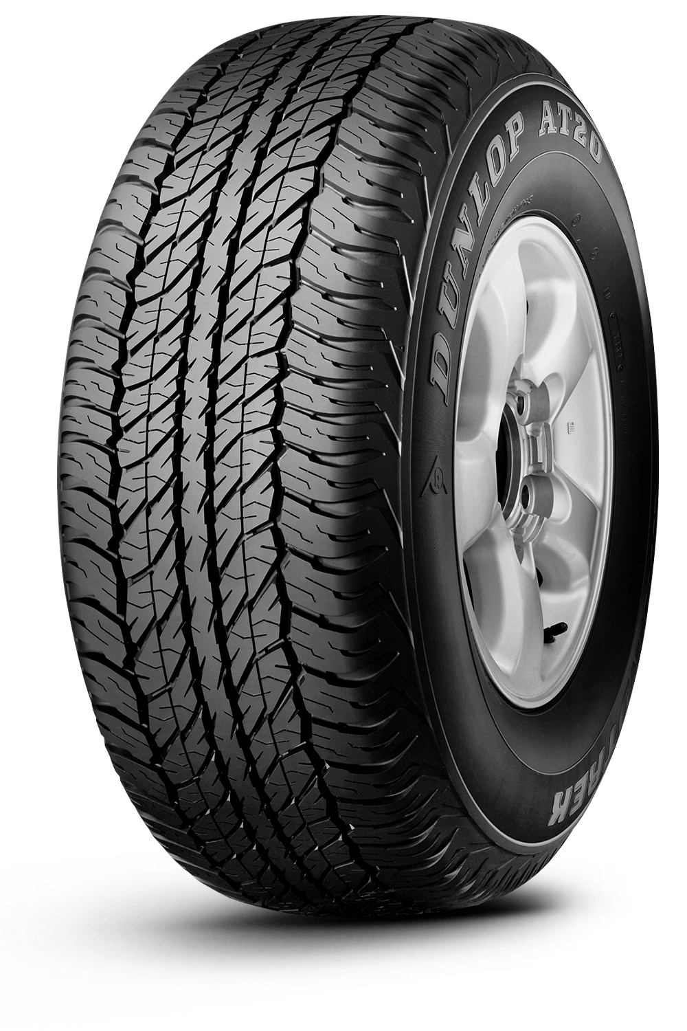 Dunlop GRANDTREK AT20 225/70 R17C
